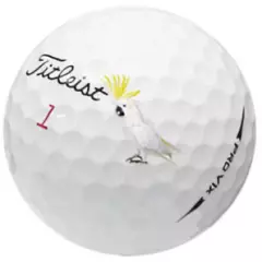 50 2018 Titleist Pro V1x 2018 50 pack (5A) AAAAA - Fast Shipping