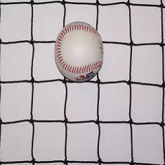 10' x 11' BLACK SQUARE HEAVY DUTY BASEBALL SPORT NETTING 2" #36 TEST 350 LB