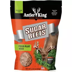 Antler King Sugar Beets Seed