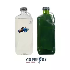 LIVE Copepod 16oz / Live Phytoplankton 16oz Combo - CopepodsForSale - FAST SHIP