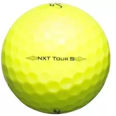 Titleist NXT Tour S Yellow AAAAA Mint 24 Used Golf Balls 5A