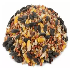 Royal Wing 14202 Animals and Pet Supplies 40 Pounds Classic Mix Wild Bird Food