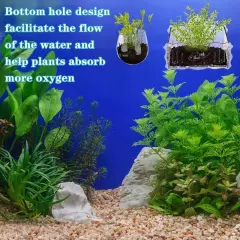 Aquatic Plant Cups with Suction Enlarged Acrylic Aquatic Plant Cups Plant N8C3