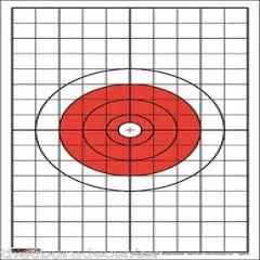 250 EZ2C Targets Style 5 Rifle or Pistol Targets with 1" Grids (250 pack) 