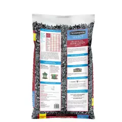 Pennington Select Black Oil Sunflower Seed Dry Wild Bird Feed, 10 lb. Bag, 1 Pac