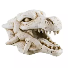 Treasures Dragon Skull