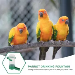 80Pcs Automatic Feeder Parrot Waterer Bird Water Feeder Pigeon Drinker Drinker