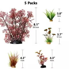 5PCS Beginner Aquarium Plants Bundle Pack 5 Plants tank easy Aquatic Decorations