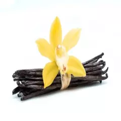  Madagascar Vanilla Beans Grade A , planifolia 10 pods