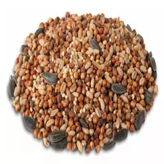 Royal Wing RWDWB-1 Pet Supplies 11 Pounds Splendid Seeds Blend Wild Bird Food