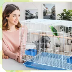 Foldable Metal Bird Cage Food Boxes Standing Posts Small Parrots Parakeets