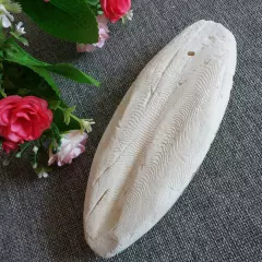 10-20X Large 10CM 3.94" Cuttlebone For Bird Parrots Cuddle Bone W/Box Cuttlebone