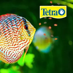 Tetra Pro Tropical Color Crisps Fish Food W/Natural Color Enhancers 7.41 Oz 2/26