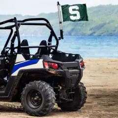 Michigan State MSU Spartans Boat and Golf Cart Flag