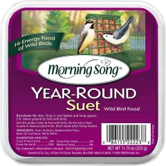 Morning Song Year Round Suet - 10 pack of 11.75 oz each for Every Season