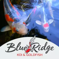 Blue Ridge Koi Fish Food 2lb - Koi Food Mini Growth Formula Goldfish Food, Premi