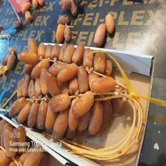 Soft Deglet Noor dates 1 KG (2.2LBs) From Algeria NEW harvest stock