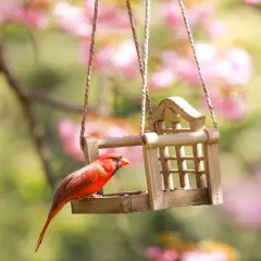 Audubon Park Cardinal Blend Wild Bird Food Cardinal Bird Seed for Outside Feede