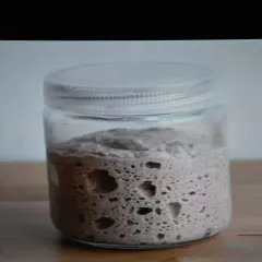 sourdough starter yeast from the "WHARF" in SAN FRANCISCO 145 YR OLD W/recipes 