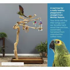 5ft Natural Sustainable Parrot Tree PlayStand / Gym! Macaw,African Grey,Cockatoo