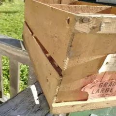 Antique Large Egg Crate from McGuigan & Boyle Hunter River PEI to St Andrews NB