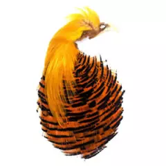 Gordon Griffiths Complete Golden Pheasant Head Natural 10 Per Pack