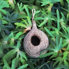 Organic Bird NEST Large Size Purely Made by Bird Building Technique Bird House