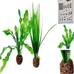  Easy Plant Pack (Pack of 2) Small Green