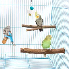 4 Pack Natural Wood Bird Perch for Bird Cages,Parrot Stand Perch Platform Exerci