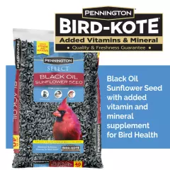 Pennington Select Black Oil Sunflower Seed Dry Wild Bird Feed 40lb Bag