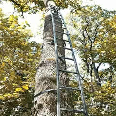 Guide Gear Climbing Ladder for Tree Stands, Climbing Equipment for Deer Hunting,