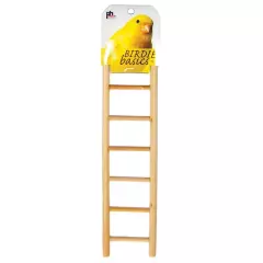 Prevue Hendryx Birdie Basics Wooden Ladder, Small to Medium Birds