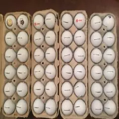 48 Bridgestone e6 Golf Balls in Near Mint to Mint Condition 