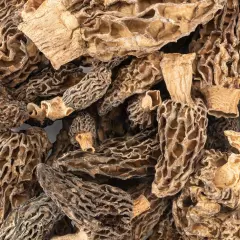 Dried Morel Mushrooms, Wild Morchellas