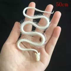 1pcs Snake skeleton model Collection snake bone model Crafts Gift DIY 30-120cm