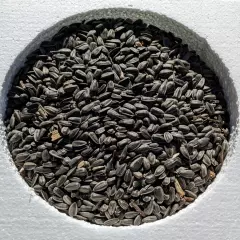 5kg BLACK Sunflower Seeds Rabbit Mice Hamster Chicken Bird Food Feed 5000 gram