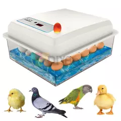 20/50Eggs Incubator Fully Automatic Brooder Chicken Poultry Quail Bird Hatcher