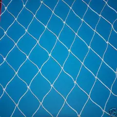 100' x 50' POULTRY NET GAME BIRD AVIARY GARDEN PROTECTION KNOTTED NYLON NET 2" 