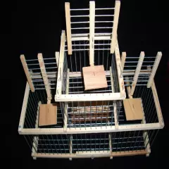 Trap Cage with 3 Traps for birds