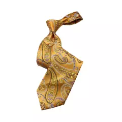 Tyson 4 | Gold Paisley | Necktie