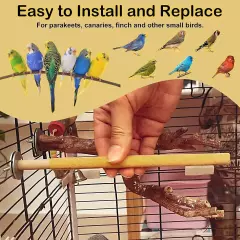 Easy-to-Install Nail Filing Perch Covers for Bird Cage Hygiene - Pack of 72