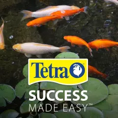 TetraPond Variety Blend Fish Food to Enhance Color and Vitality