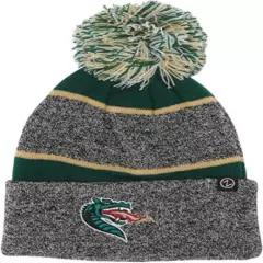 Alabama- Birmingham Zephyr Men's Jackson Knit Beanie