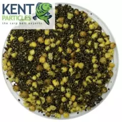 Cooked hemp, maize, tiger nuts 5kg 10kg 25kg bag FREE P&P Carp Bait Carp Fishing