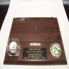 SPECIAL ORDER GOLF HOLE IN ONE PLAQUE 9" X 12" PERSONAL INFO PLATE IS 2" x 5" 