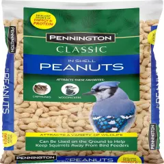 in Shell Peanuts Wildlife and Wild Bird Food, 5 Lb. Bag, Dry, 1 Pack