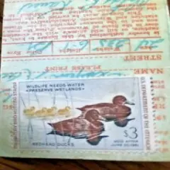 Duck Stamp 1960, Unsigned on Wisconsin Hunting License