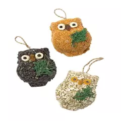 Ollie Owl Bird Seed Ornaments (1)