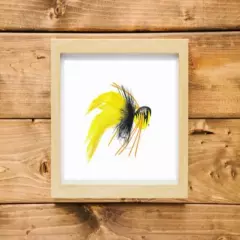 Yellow Hard Body Bass Popper Print, Bass Bug, fishermen, bass fishing, gift, 