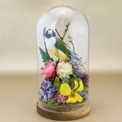 O25c Gouldian Finch Glass Dome Floral Taxidermy Oddities Curiosities Display